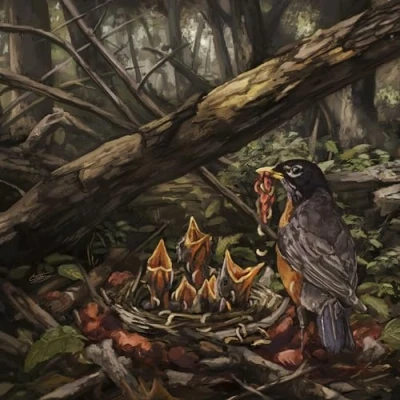 Imagen de The Acacia Strain Step Into Light (LP) [Vinilo]