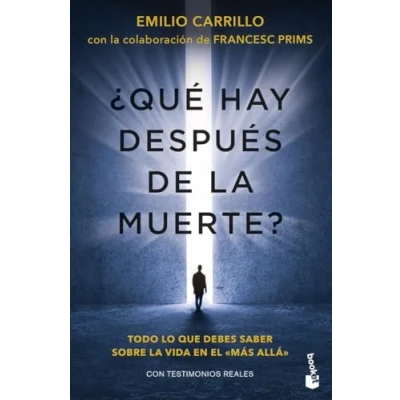 Imagen de ¿Qué hay después de la muerte?: Todo lo que debes saber sobre vida en el más allá (Divulgación)