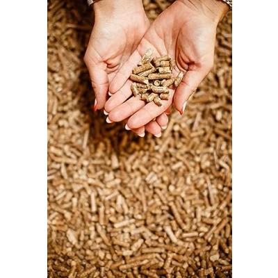 Imagen de arena para gatos a base de madera 10 L, ultra absorbente, biodegradable, y gatitos, excelente control olores, antibactrial, Catvenience®, fácil levantar,