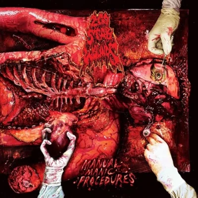 Imagen de Manual Manic Procedures