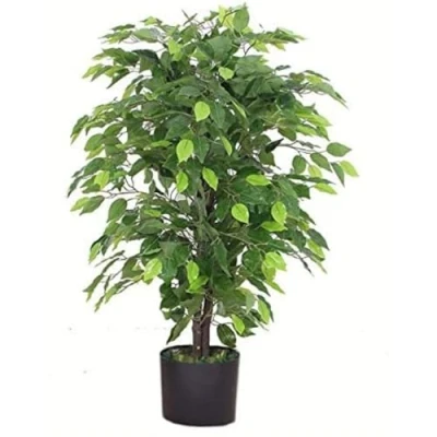 Imagen de Leaf Design UK Árbol de ficus Artificial (90 cm), diseño Flores, Color Negro