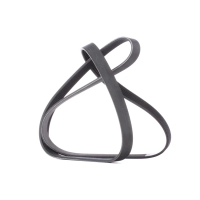 Imagen de DAYCO 6PK1520 Correa trapecial poli V 1520,0 6 FORD: Focus 2, C Max, 2 Kombi, SKODA: Octavia I Hatchback, SEAT: Arosa