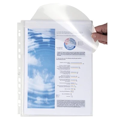 Imagen de Exacompta 5503E Bolsa de 10 Fundas con Solapa para Planos multitaladros y Fuelle, A4