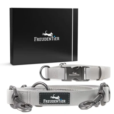 Imagen de Freudentier® Correa y Collar para Perros en Elegante Set Incluye Caja de Regalo Fácil Limpiar Resistente (30 40 cm)