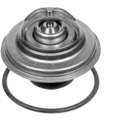 Imagen de MEYLE 028 287 0005 Termostato, refrigerante 87 ORIGINAL Quality con junta VOLKSWAGEN: TRANSPORTER 3 Bus, Kasten