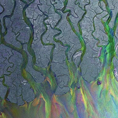 Imagen de An Awesome Wave [Vinilo]