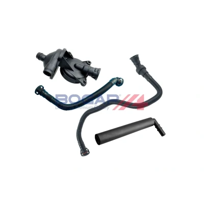 Imagen de BOGAP B1217104 Kit de reparación, ventilación cárter BMW: 1 Hatchback