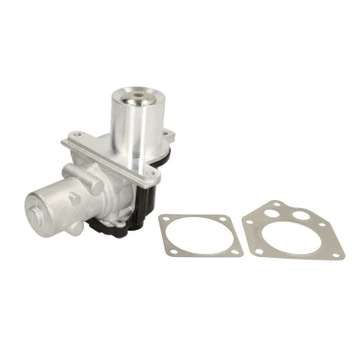Imagen de WAHLER 710928D/1 Válvula EGR eléctrico con juntas RENAULT: CLIO 3, SCENIC 2, MEGANE NISSAN: Qashqai / Qashqai+2 I, NV200 Furgón Familiar