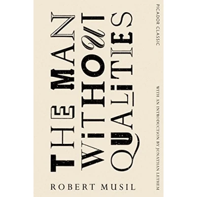 Imagen de The man without qualities