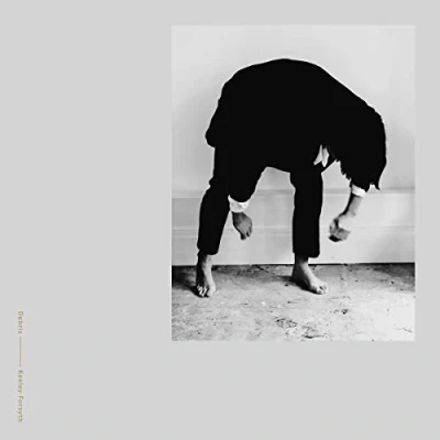 Imagen de Debris [Vinilo]
