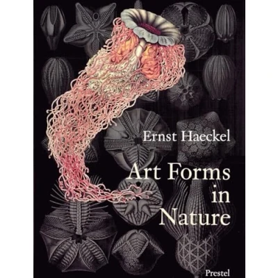 Imagen de Art Forms In Nature: Prints Of Ernst Haekel