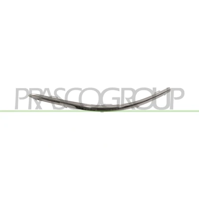 Imagen de PRASCO VG7171248 Listón embellecedor/protector, parachoques Delante, izquierda VOLKSWAGEN: Touran I