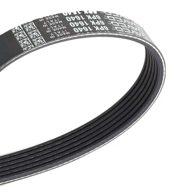 Imagen de DAYCO 6PK1640 Correa trapecial poli V 1640,0 6 FORD: MONDEO 3, 3 Stufenheck, RENAULT: Megane I Grandtour, JAGUAR: X Type Berlina