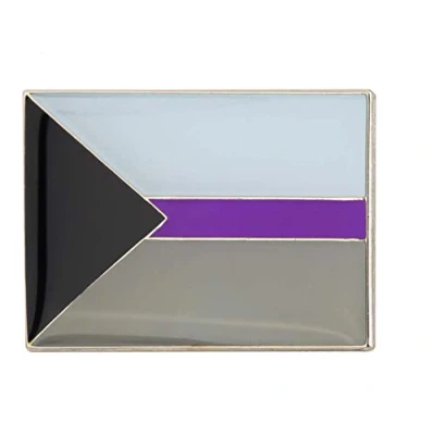 Imagen de Patch Nation Demi Demisexual Pride LBGTQ Pin de Metal Rectangular