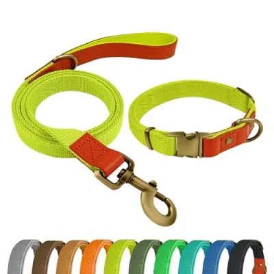 Imagen de Qianruida Collar y Correa Perro Conjunto de para Perros PequeñOs Medianos Grandes Amarillo Fluorescente,L
