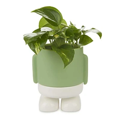 Imagen de Balvi Maceta MrStandy Color Verde y Blanco Tiesto para Plantas en Forma de Personaje simpático con re