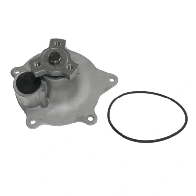 Imagen de BLUE PRINT ADA109119 Bomba de agua Fundición aluminio con junta anular Metal CHRYSLER: Voyager / Grand 3