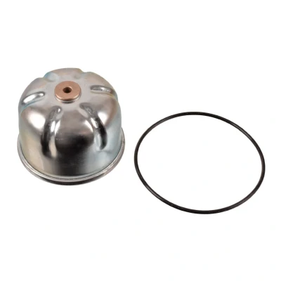 Imagen de BLUE PRINT ADJ132121 Filtro de aceite con junta anular centrífugo LAND ROVER: Discovery 2, Defender SUV, Pick up