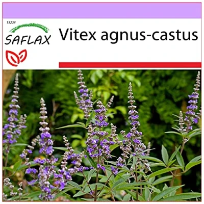 Imagen de SAFLAX Hierba de Castidad 30 semillas Vitex agnus castus