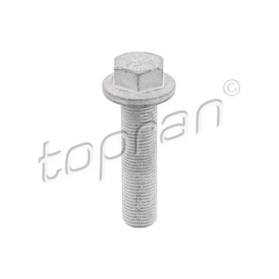 Imagen de TOPRAN 701 617 Tornillo de polea RENAULT: MEGANE 2, LAGUNA SCENIC 2