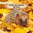 Imagen de Conec Els Animals Del Bosc (val)