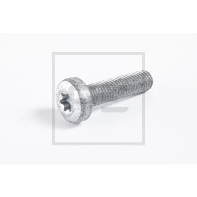 Imagen de PETERS ENNEPETAL 010.863 10A Tornillo M10 Torx interior