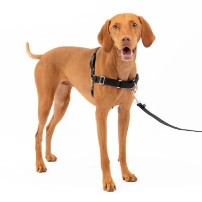 Imagen de arnés para perros Easy Walk de PetSafe, antitirones Perfecto adiestramiento con correa y Evita tirones asfixia en los paseos Mediano, Negro