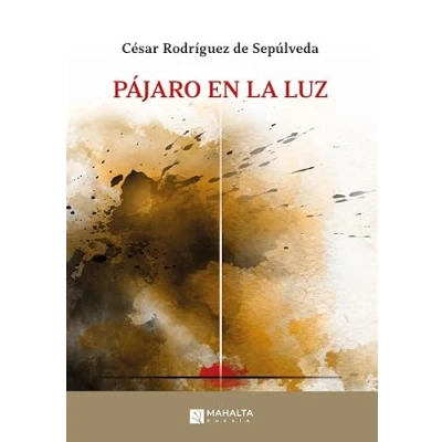 Imagen de Pájaro en la luz: 13 (Mahalta Poesía)