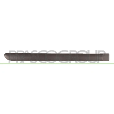 Imagen de PRASCO PG4201453 Molduras Puerta PEUGEOT: 307 Hatchback, Familiar