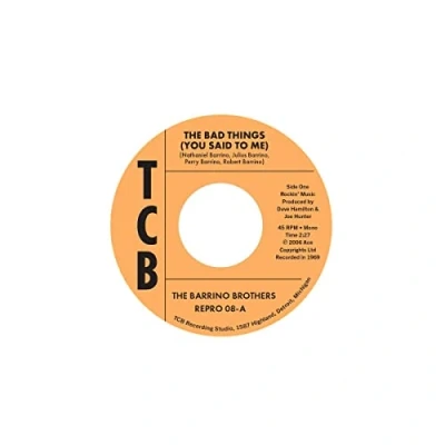 Imagen de The Bad Things (You Said To Me) + Just A Mistake [Vinilo]