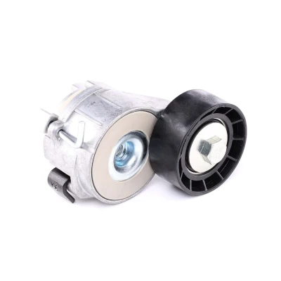 Imagen de SKF VKM 33161 Polea Tensora PEUGEOT: Partner Origin Combispace, 206 Hatchback, I Furgón, CITROËN: Xsara Picasso norauto, oscaro, mister auto