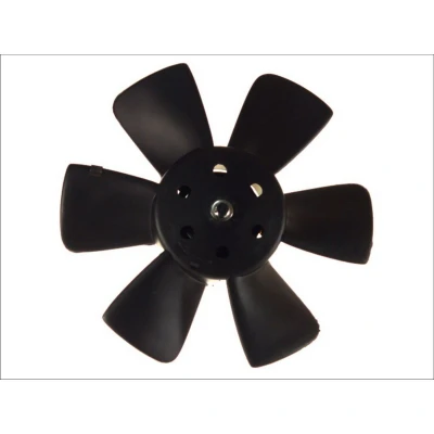 Imagen de Ventilador, refrigeración del motor THERMOTEC D8W013TT
