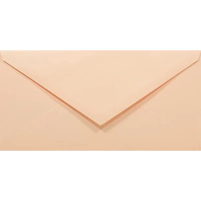 Imagen de Netuno 50x largos sobres de color salmón DIN DL 110x220mm 80g Rainbow con solapa engomada puntiaguda sin ventana americanos para invitaciones Navidad tarjetas boda cartas facturas vales foto folletos
