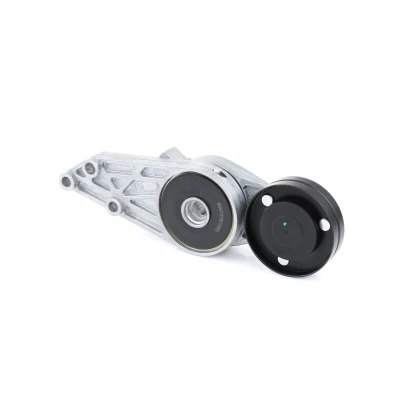 Imagen de INA 533 0077 30 Brazo tensor, correa trapecial poli V AUDI: A4 B5 Berlina, A6 C5 B6 Avant, VOLKSWAGEN: Passat GP Berlina