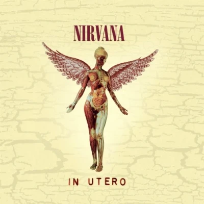 Imagen de In Utero