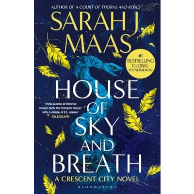 Imagen de House Of Sky And Breath (crescent City 2)
