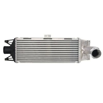 Imagen de Intercooler THERMOTEC DAE002TT