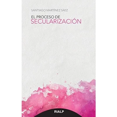 Imagen de Proceso De Secularizacion (Bolsillo)