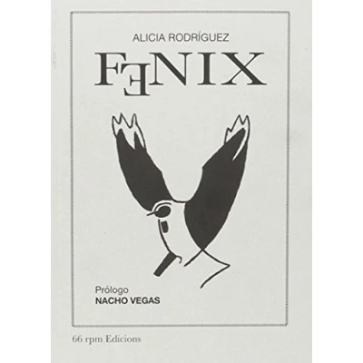 Imagen de Fenix (SINGLE)