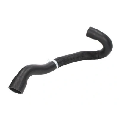 Imagen de THERMOTEC DCC018TT Tubo flexible de aspiración, filtro aire Salida, Eje delantero CITROËN: C4 I Hatchback, Coupé, PEUGEOT: 307 SW, Hatchback