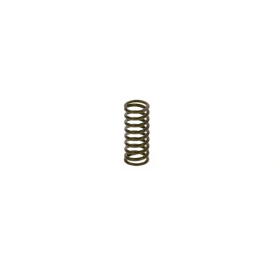 Imagen de BOSCH 2 444 618 002 Muelle