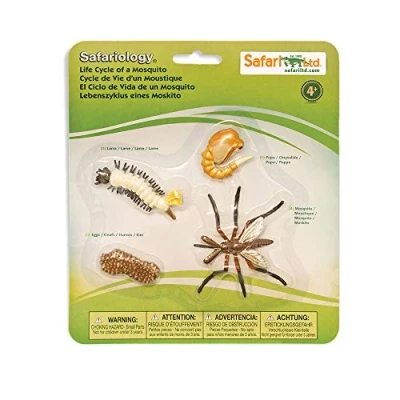 Imagen de Safari Ltd. Safariology Life Cycle Series Ciclo de vida un mosquito Figura juguete para niños y niñas A partir 3 años
