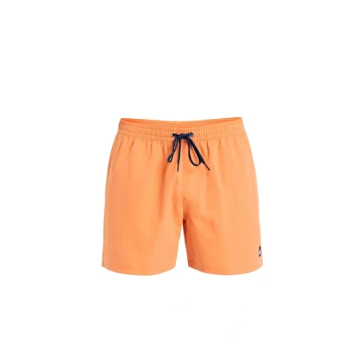 Imagen de Quiksilver Everyday Solid 15 Bañador, Hombre, Talla: Small, Nhz