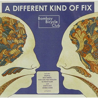 Imagen de A Different Kind Of Fix