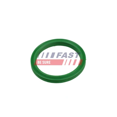 Imagen de FAST FT49936 Junta anular, conducto aire admisión RENAULT: Clio 4, SCENIC 3, Kangoo II / Grand Kangoo, DACIA: Duster SUV, Lodgy, NISSAN: Juke