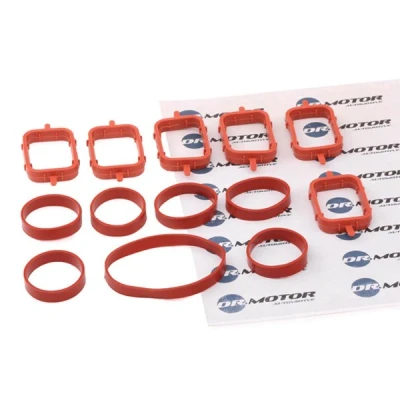 Imagen de DR.MOTOR AUTOMOTIVE DRM0110SL Juego de juntas, colector admisión BMW: 7, X5, 5 Berlina, LAND ROVER: Range Rover 3