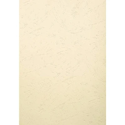 Imagen de Exacompta 2785C Lote de 100 cubiertas/cartulinas dossiers, A3, color marfil
