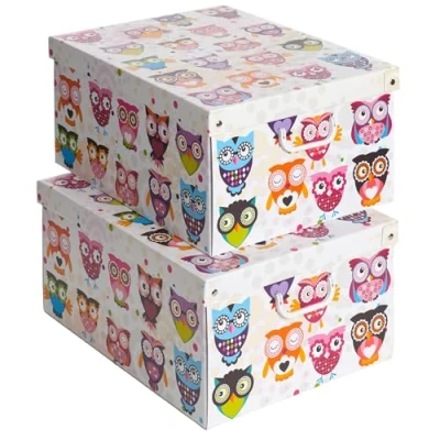 Imagen de Kanguru SET 2 Cajas organizadoras de almacenamiento ropa, almacenaje decorativas en carton, 39x50x24cm, para armario, baul, bolsas, juguetes, jardineria, con tapa, BUHITOS
