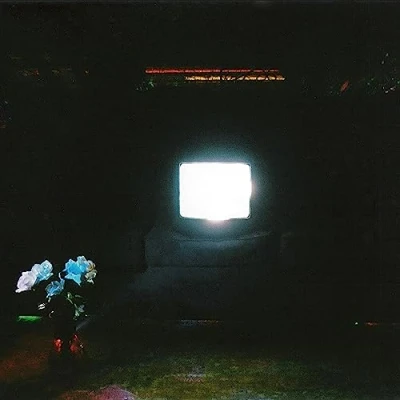 Imagen de Does It Look Like Im Here? [Vinilo ltd color Ectoplasma]