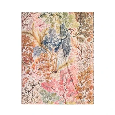 Imagen de Paperblanks Cuadernos de Tapa Dura Anémonas Rayado Ultra (180 x 230 mm): Hardcover, Wrap Closure, 120 gsm, ribbon marker, pouch (William Kilburn)
